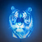 3D Hologramm Projektor